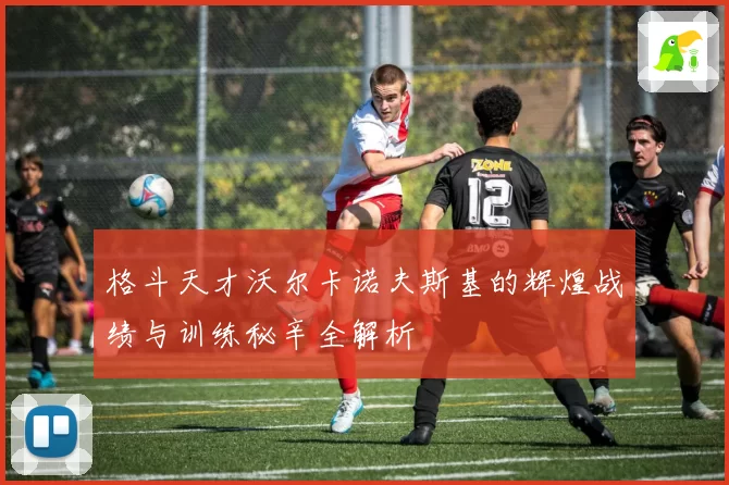 格斗天才沃尔卡诺夫斯基的辉煌战绩与训练秘辛全解析